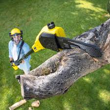 Wood River, IL Tree Removal and Landscaping Services Company